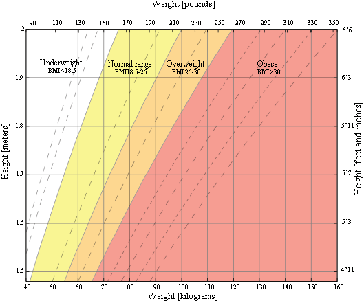 bmi tets