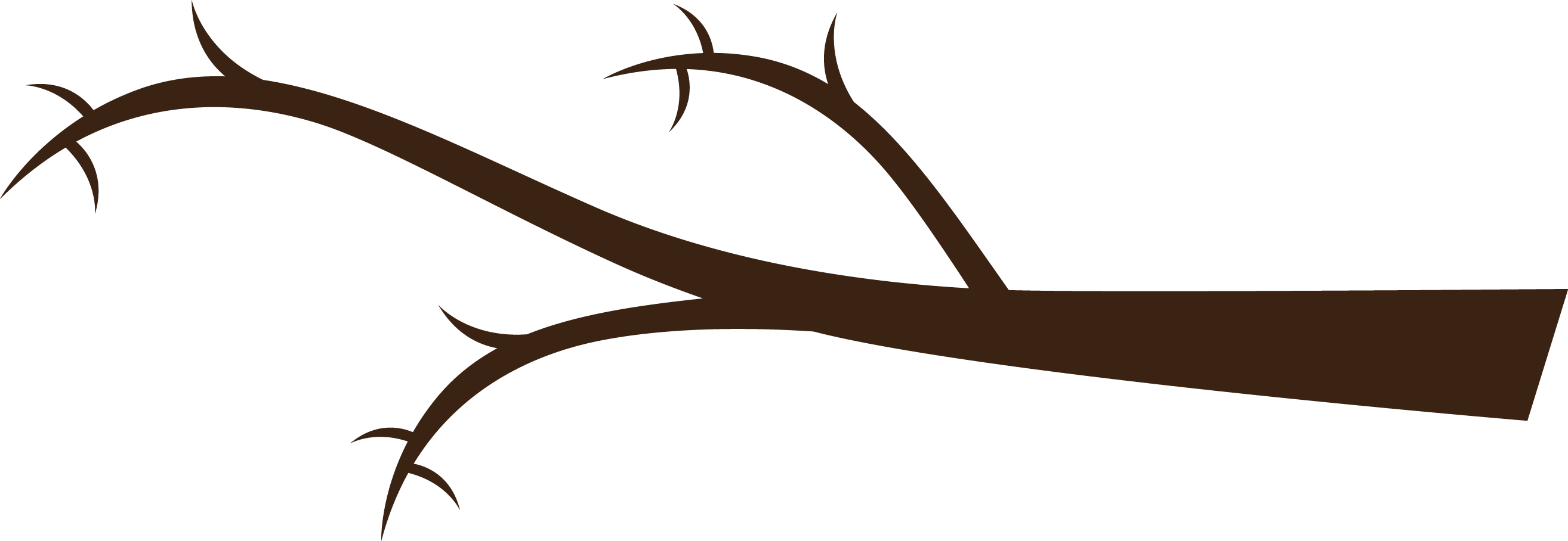 branch clipart