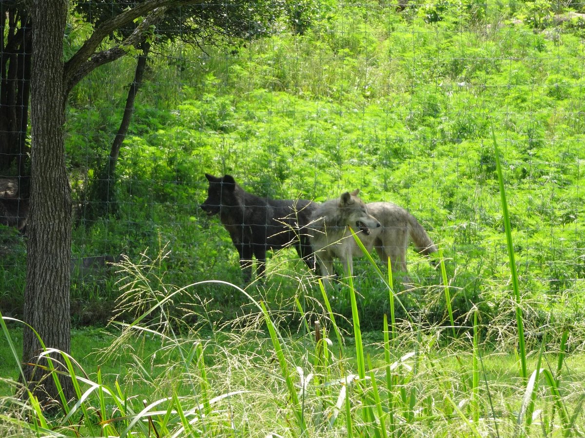 brantford twin valley zoo photos