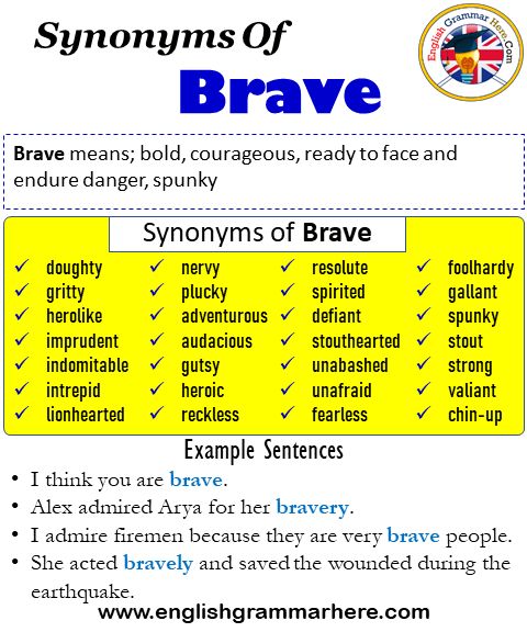 braveness synonyms