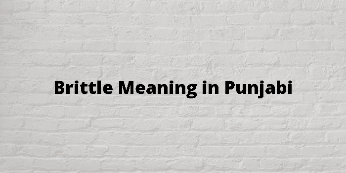 brittle meaning in punjabi