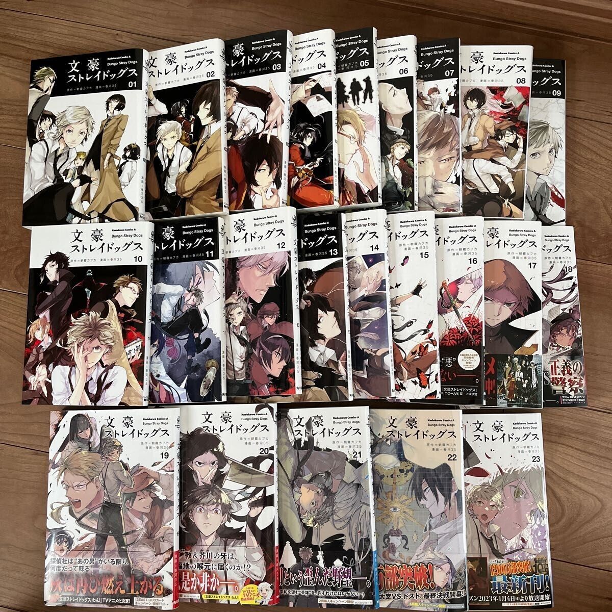 bungou stray dogs manga book