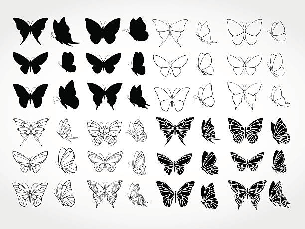 butterfly tattoo stencil