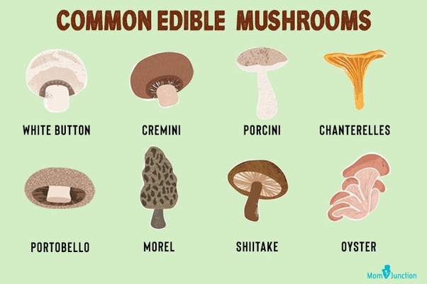 negative effects portobello mushrooms