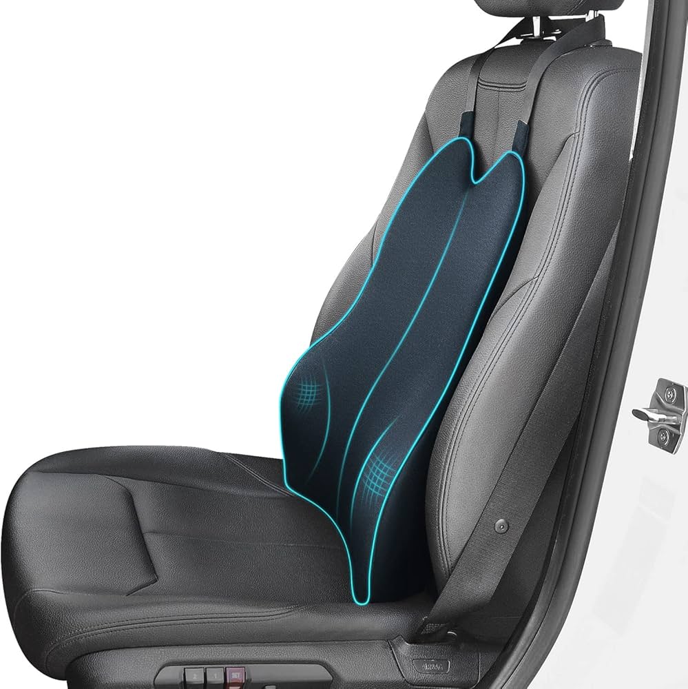 lumbar support for driving