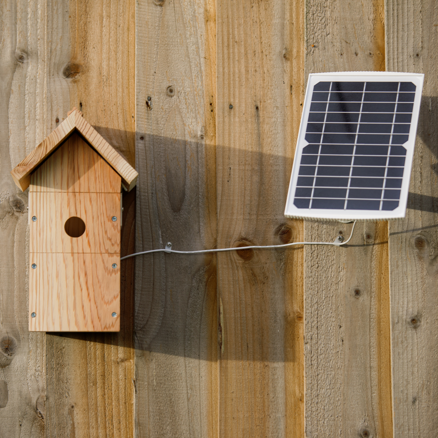 bird box camera solar powered