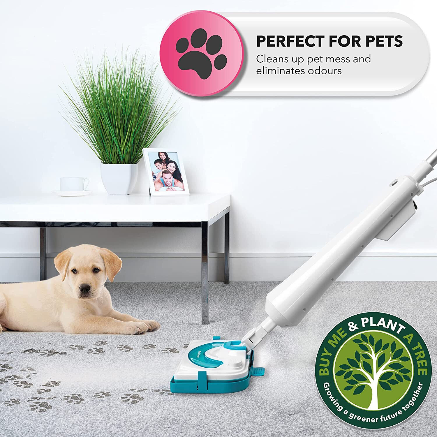 beldray steam floor cleaner