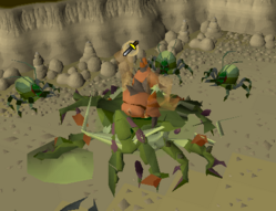 osrs kalphite queen