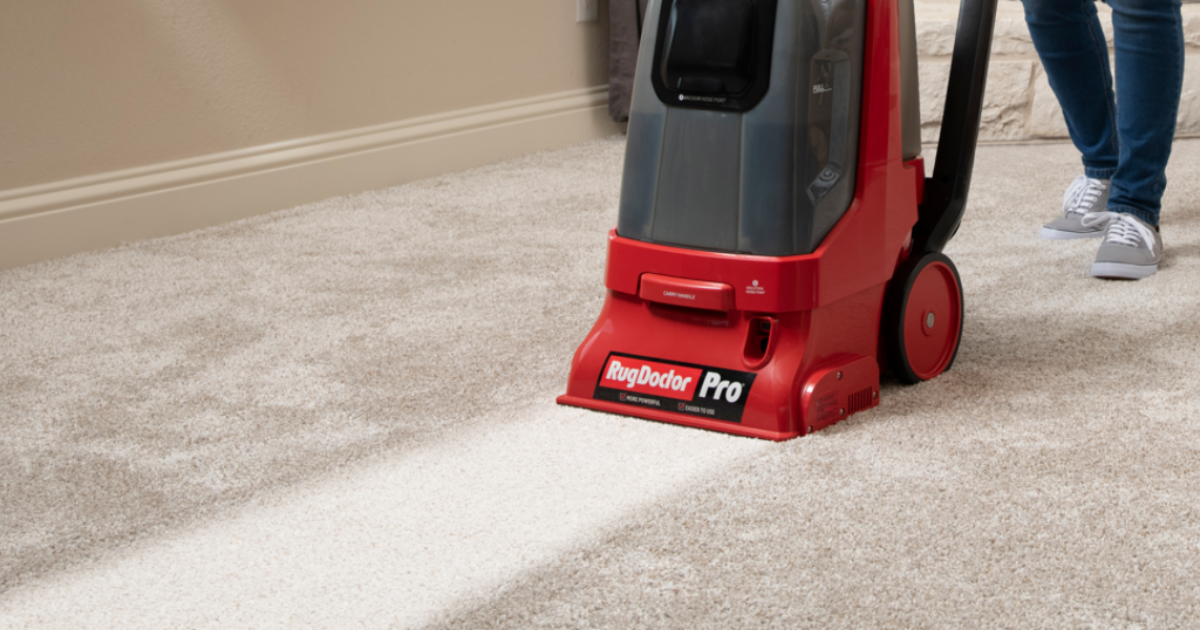publix carpet cleaner rental price