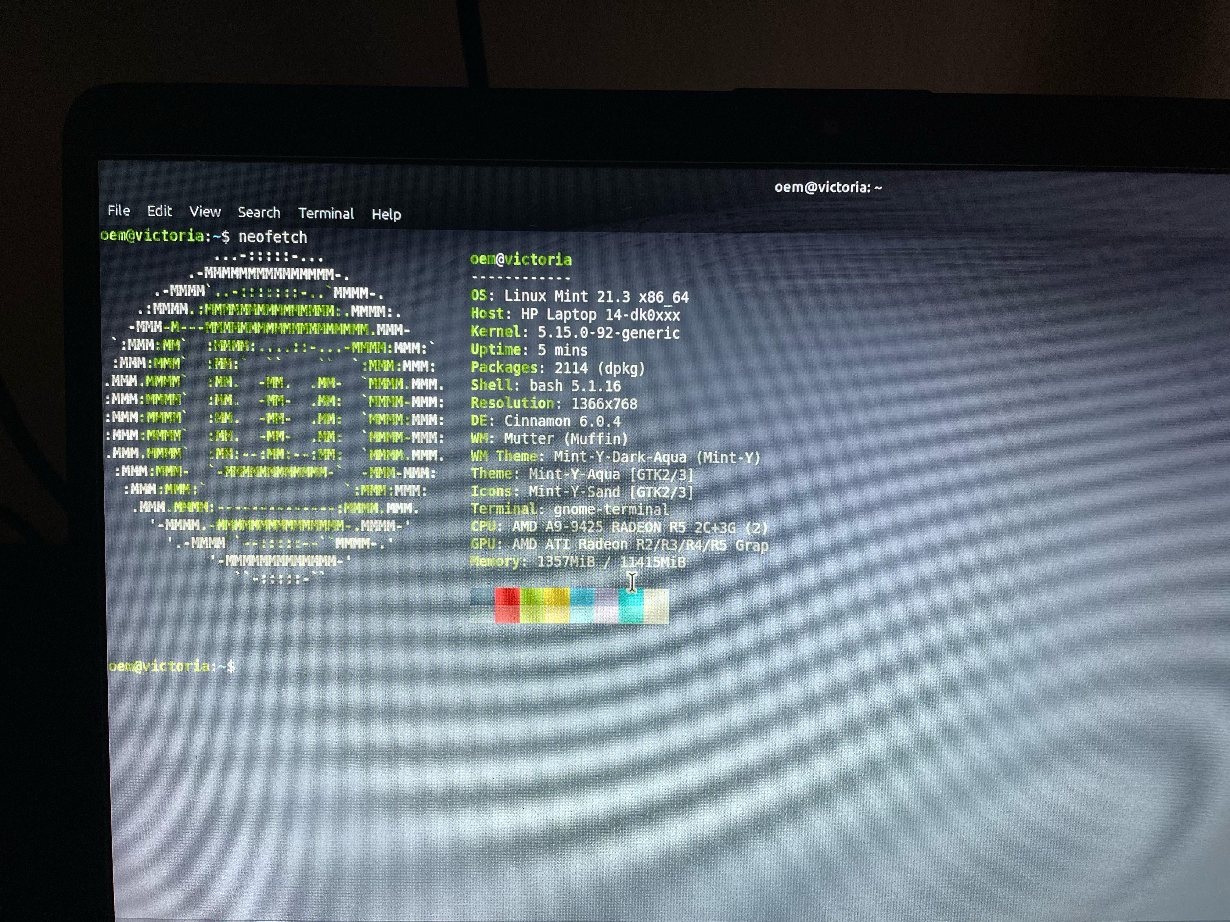 linux mint black screen