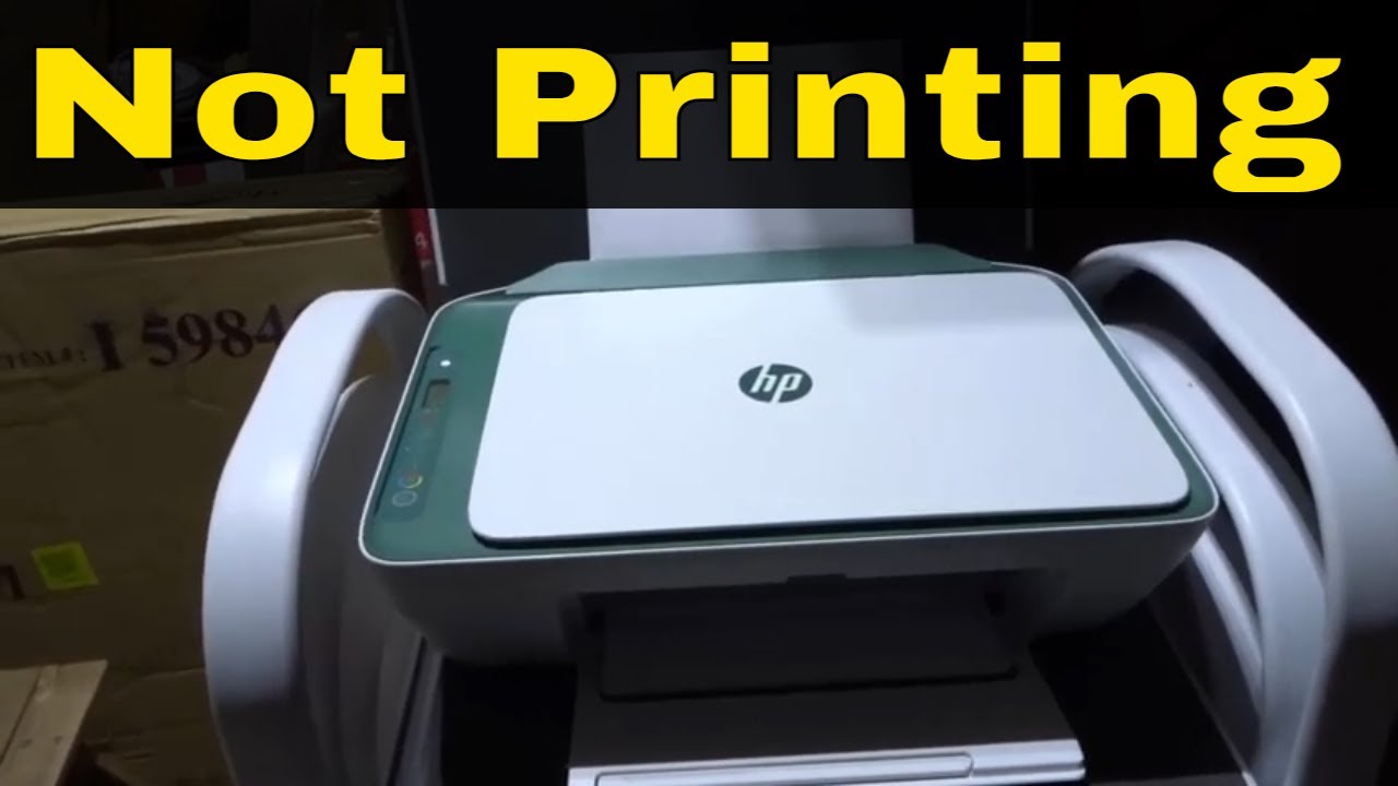 hp printer won t print