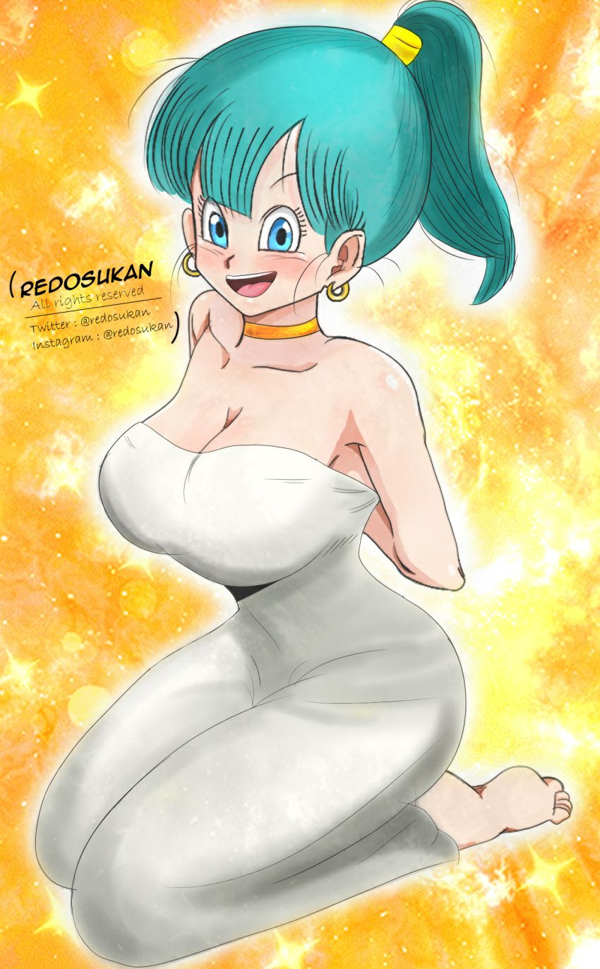 bulma chichona