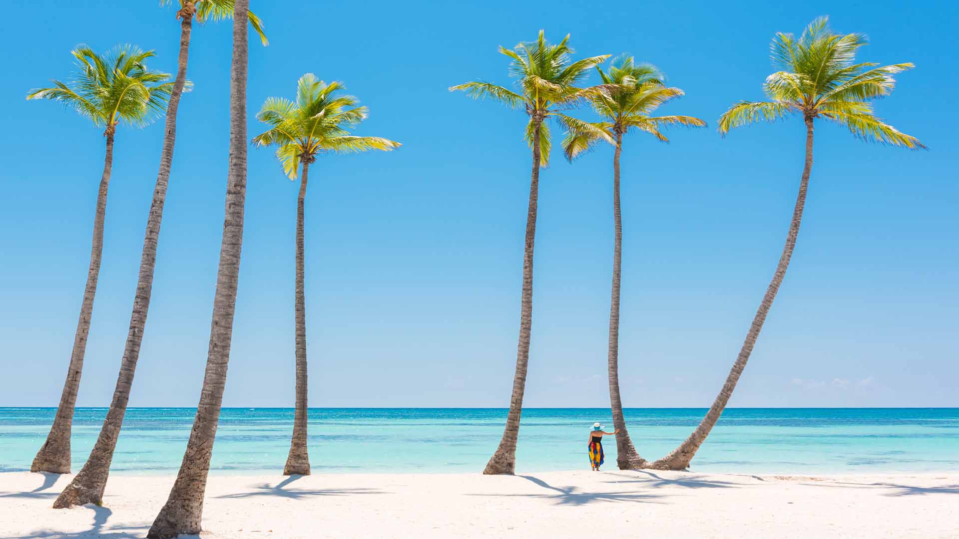 flights to punta cana dominican republic