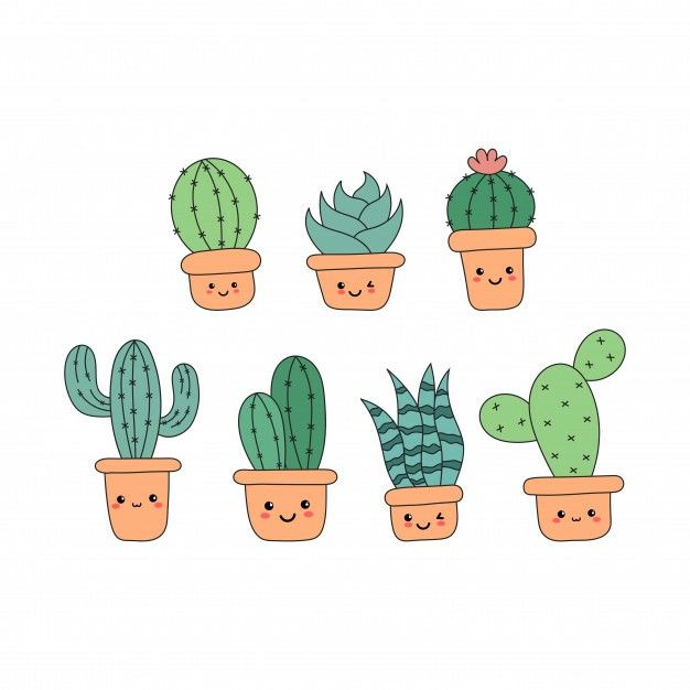 cactus dibujo facil