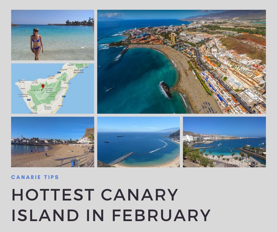 canaries weather february