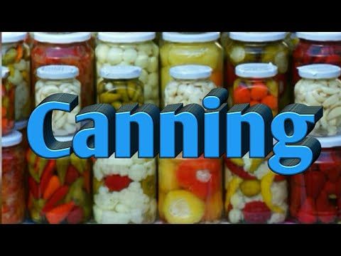 canned meaning in telugu