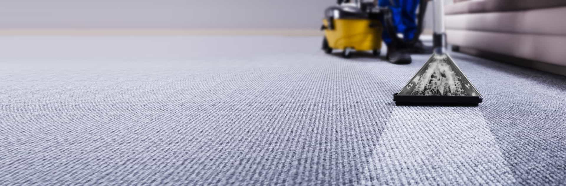 carpet cleaning plymouth ma
