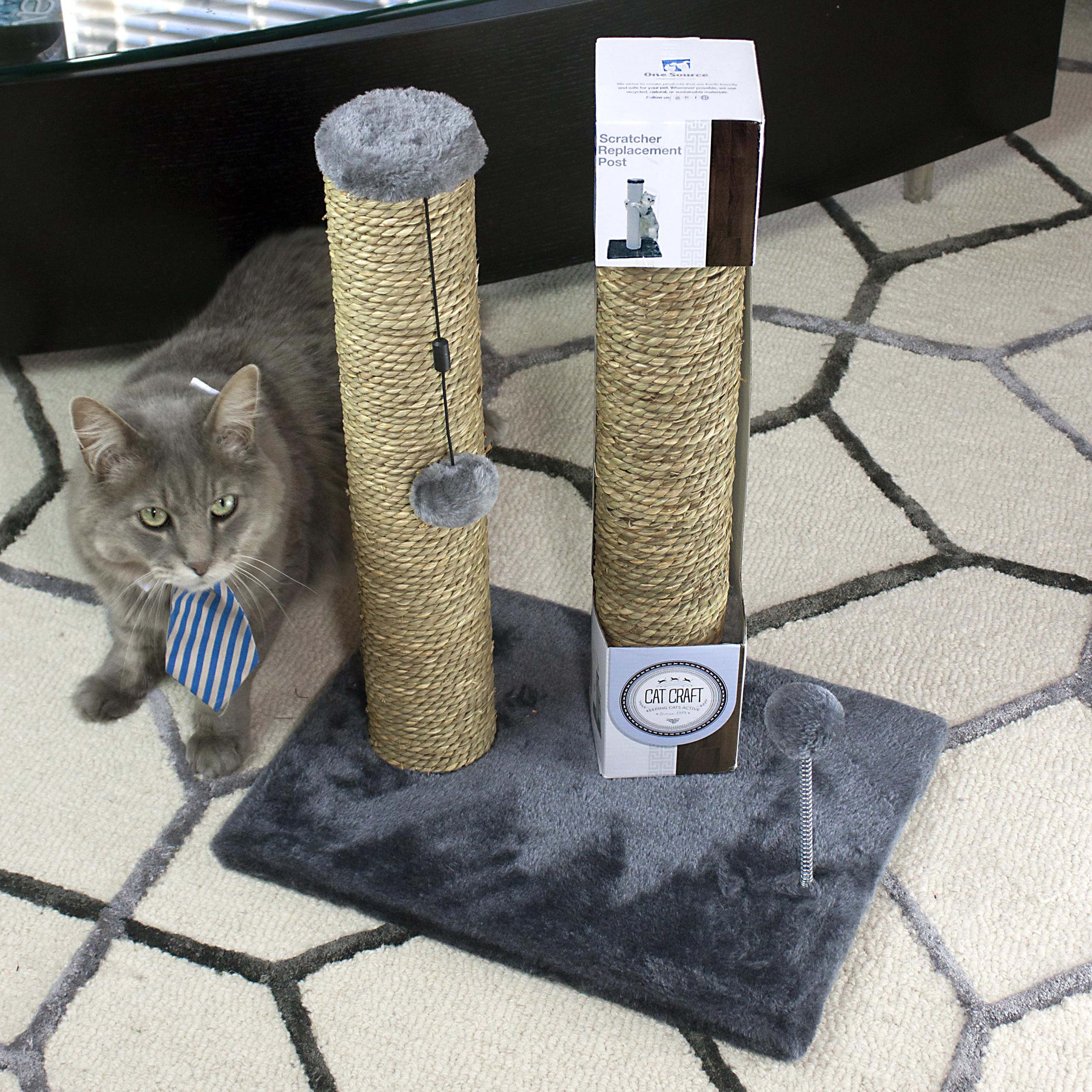 cat scratching post replacement