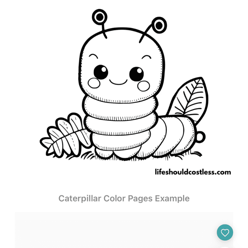 caterpillar colouring page