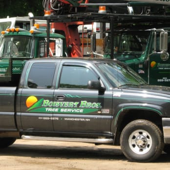 boisvert tree service