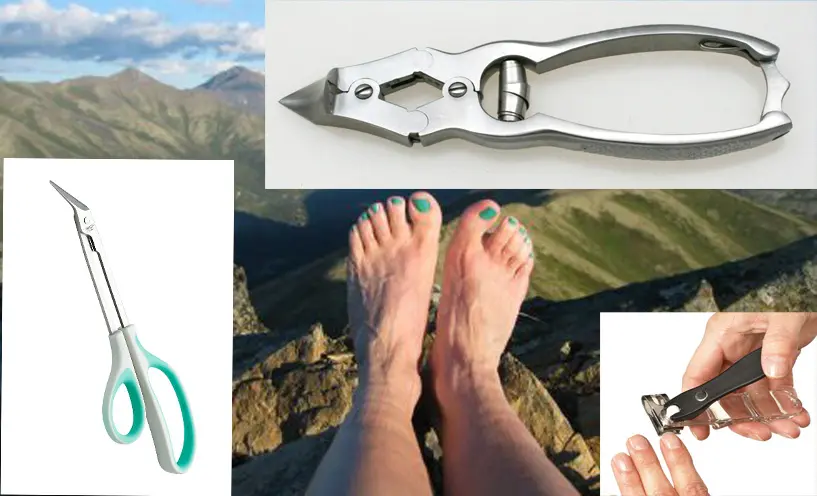 toenail trimmers elderly