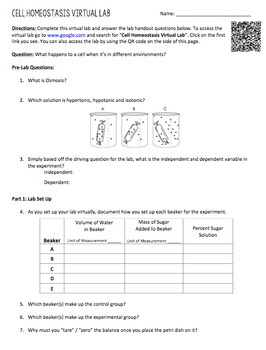 cell homeostasis virtual lab worksheet