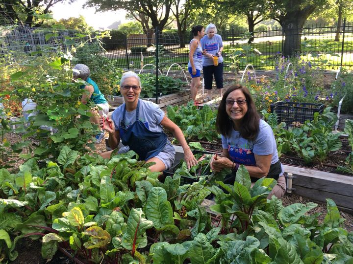 dallas county master gardeners