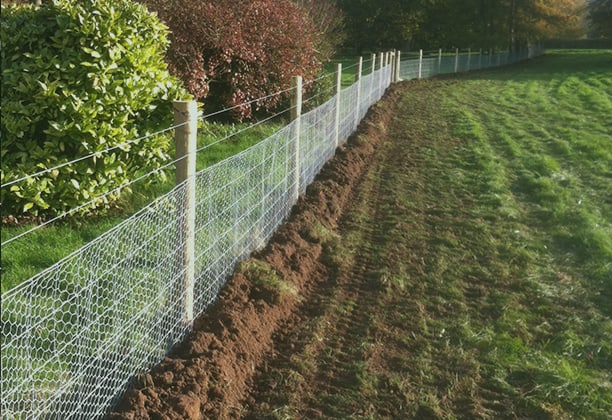 cheap dog fence ideas