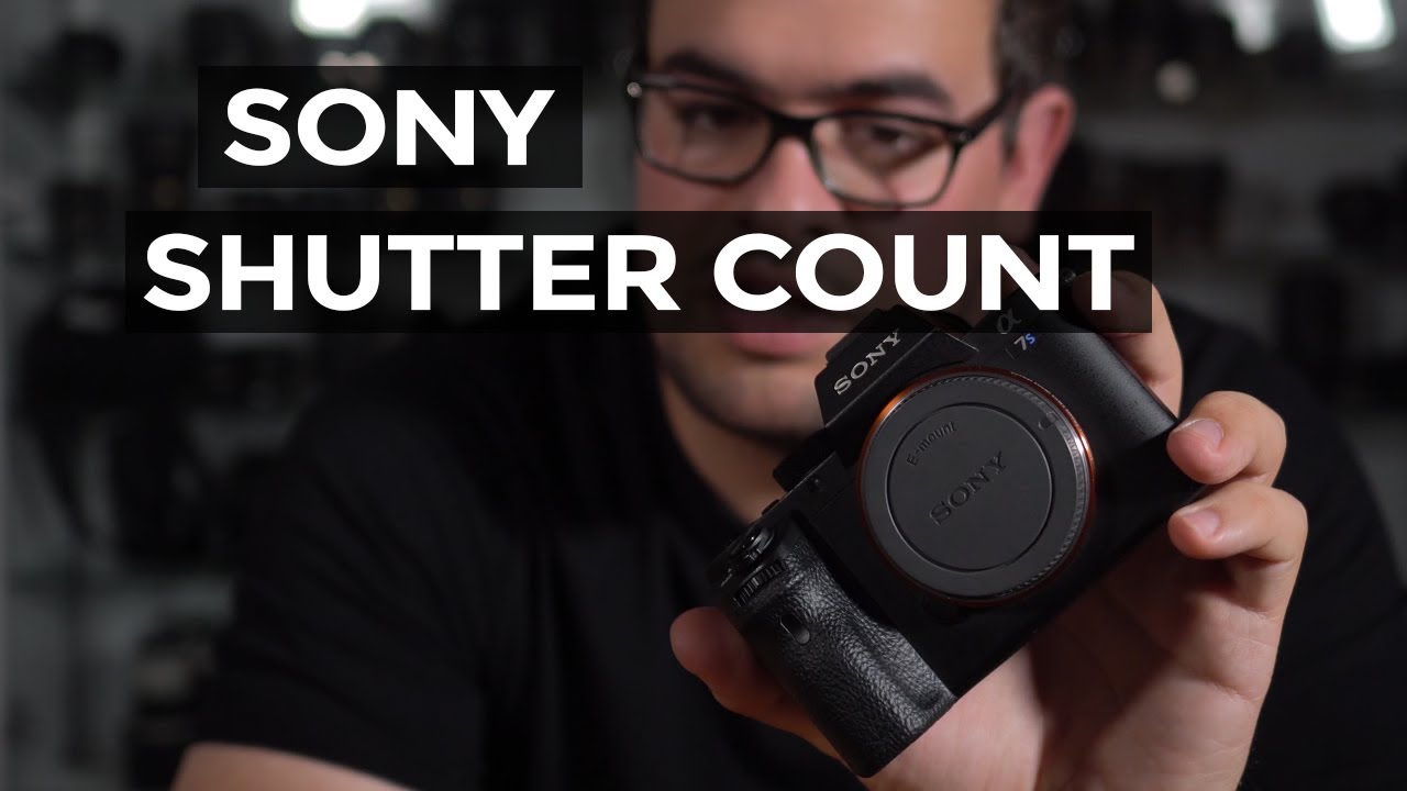 check shutter count sony a6000