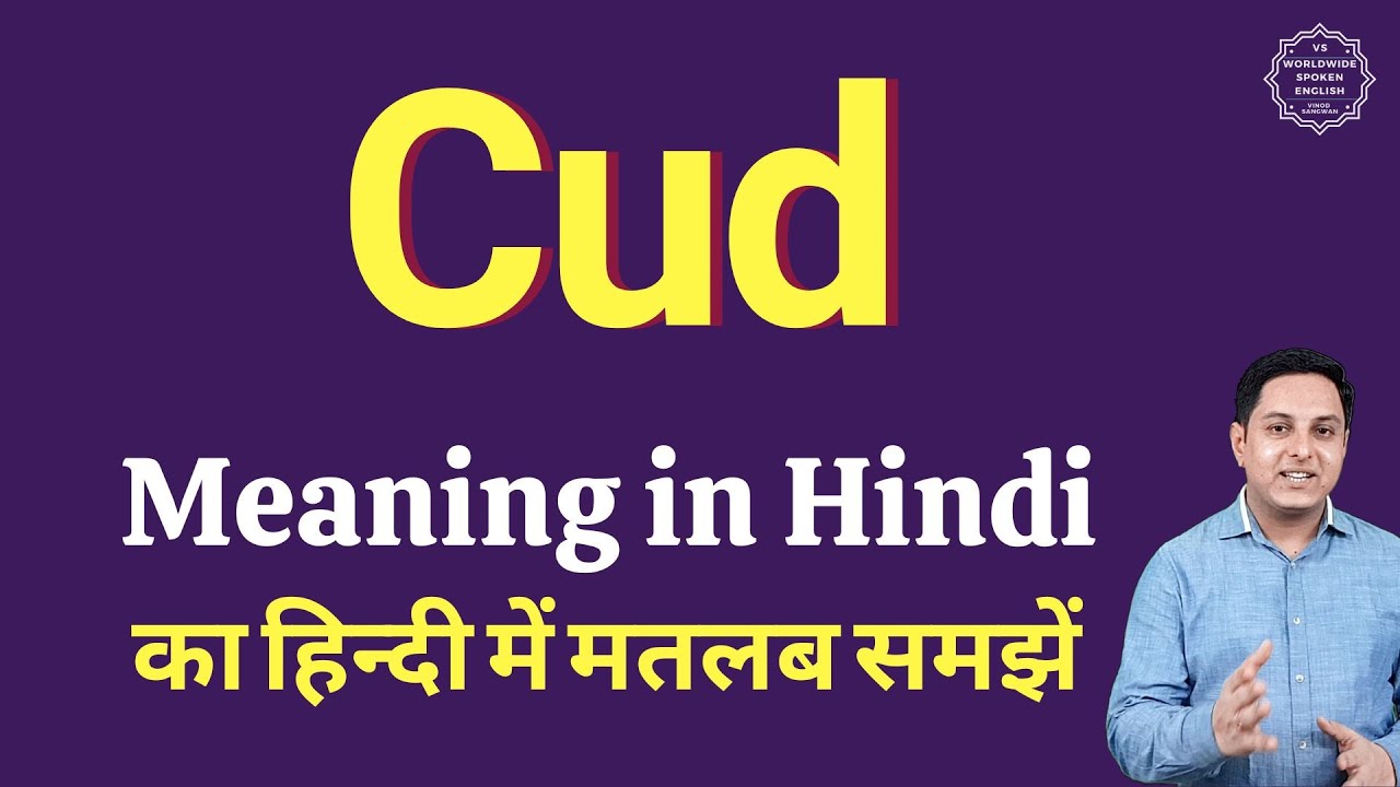 chewing cud meaning in hindi
