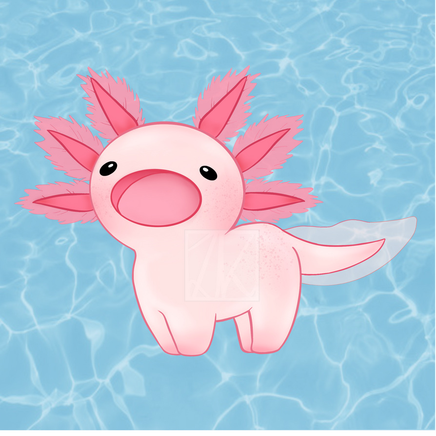 chibi axolotl