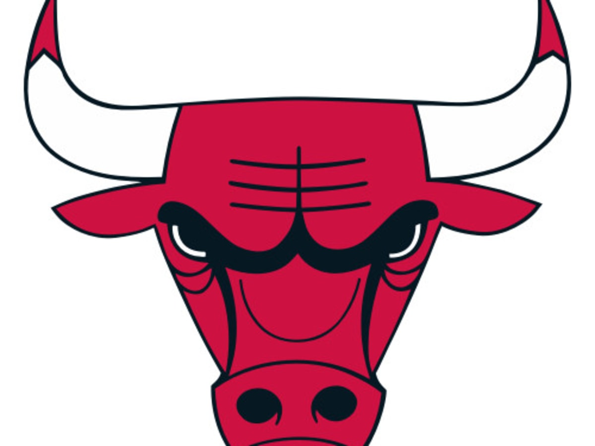 chicago bulls bull