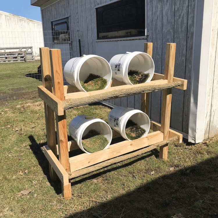 chicken nesting baskets