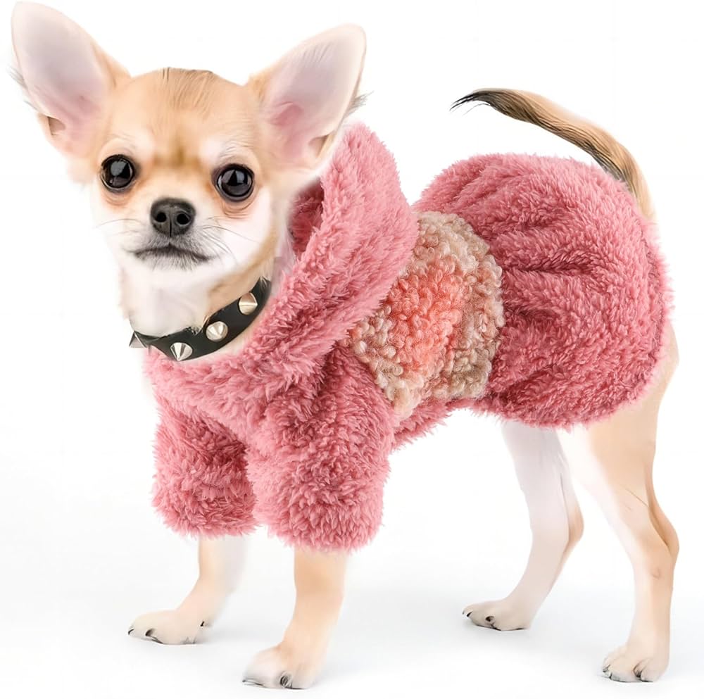 chihuahua warm clothes