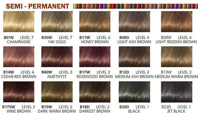 clairol semi permanent hair color