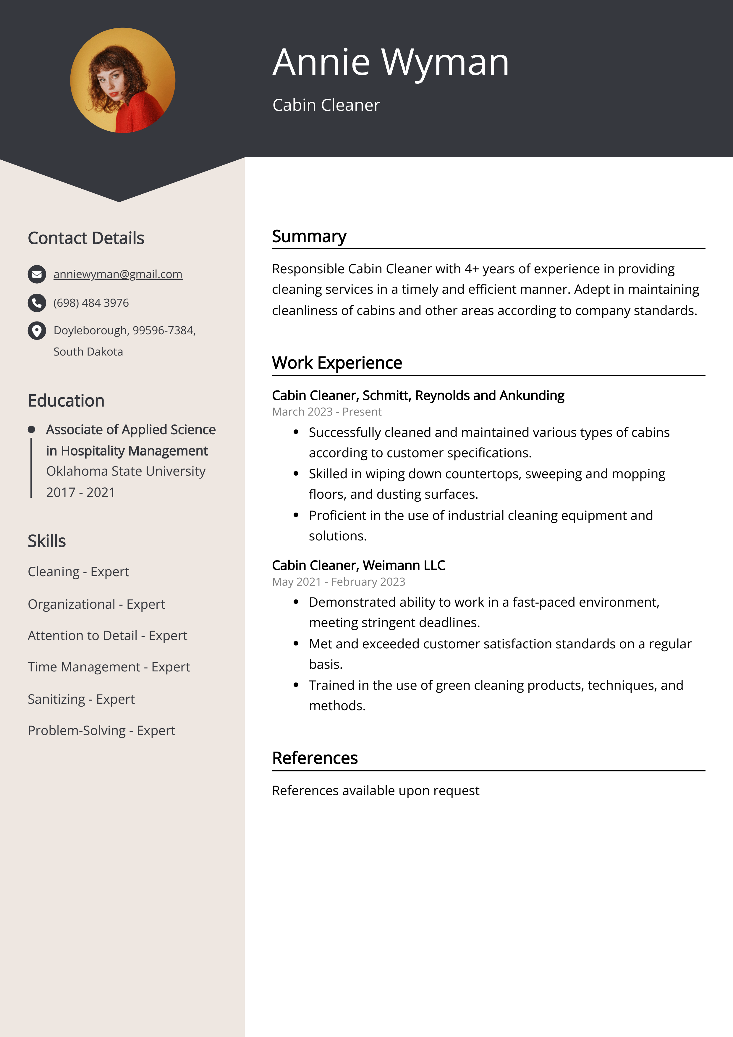 cleaner resume examples