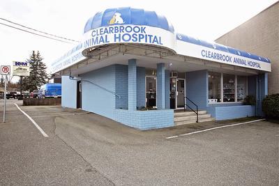 clearbrook animal hospital