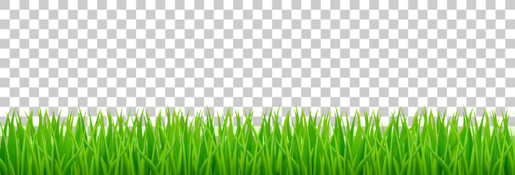 clip art for grass