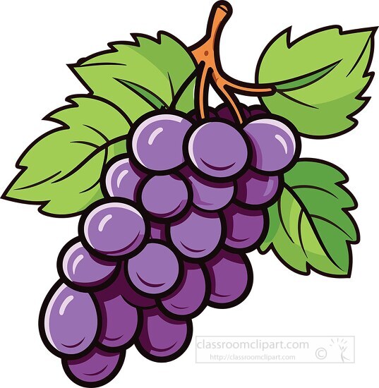 clip art grapes