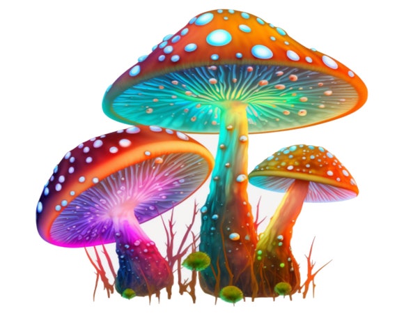 colorful mushroom clipart