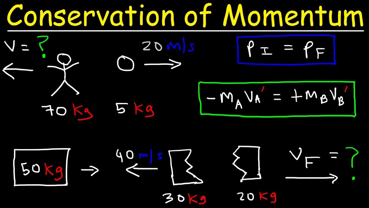 conservation of momentum calculator