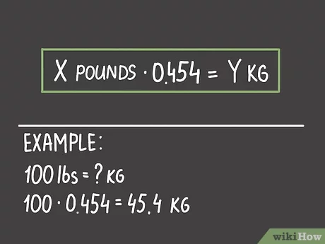 convert 20 pounds to kilograms