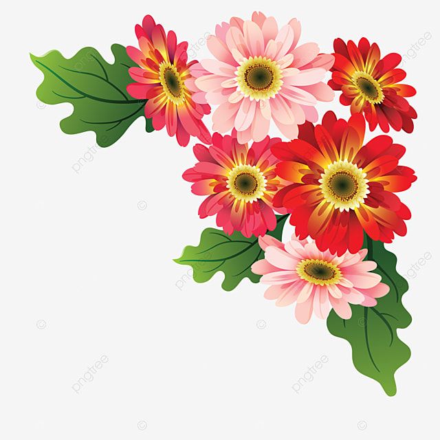 corner flower vector