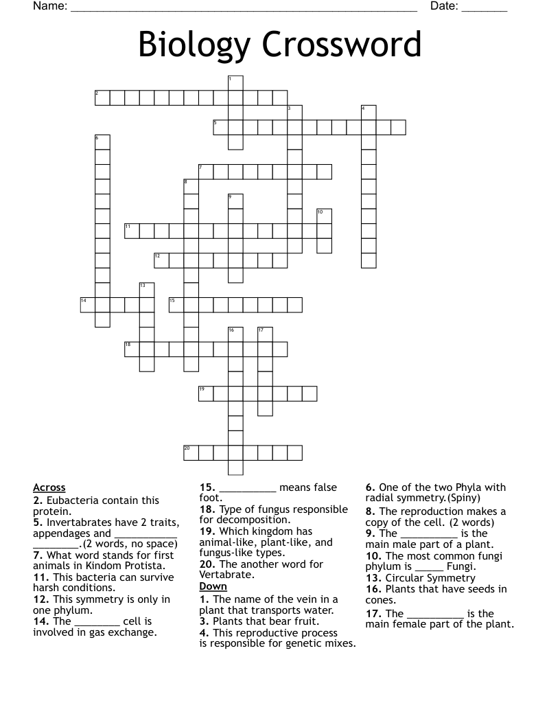 crossword spiny plant