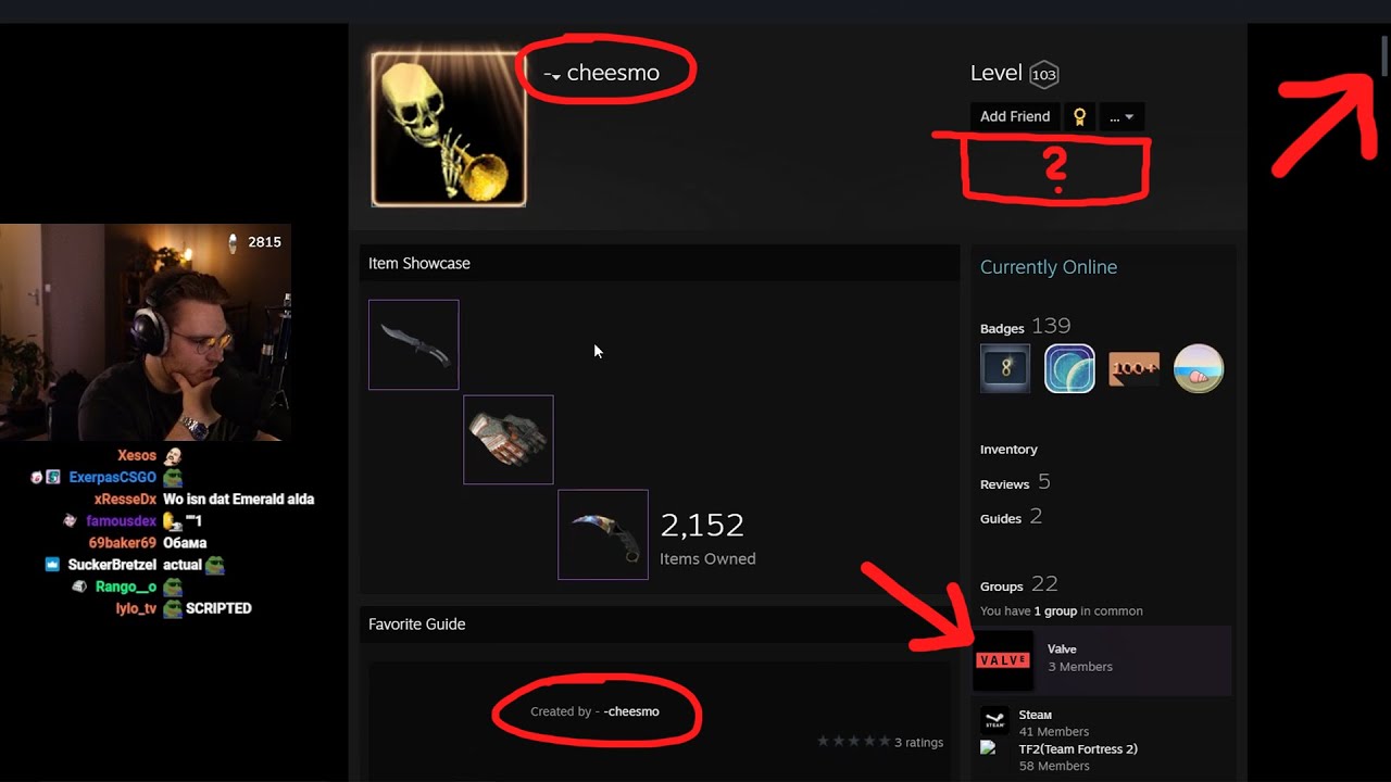 csgo profile text