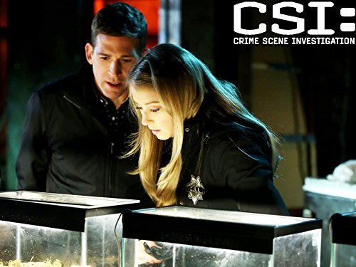 csi crime scene investigation tv series