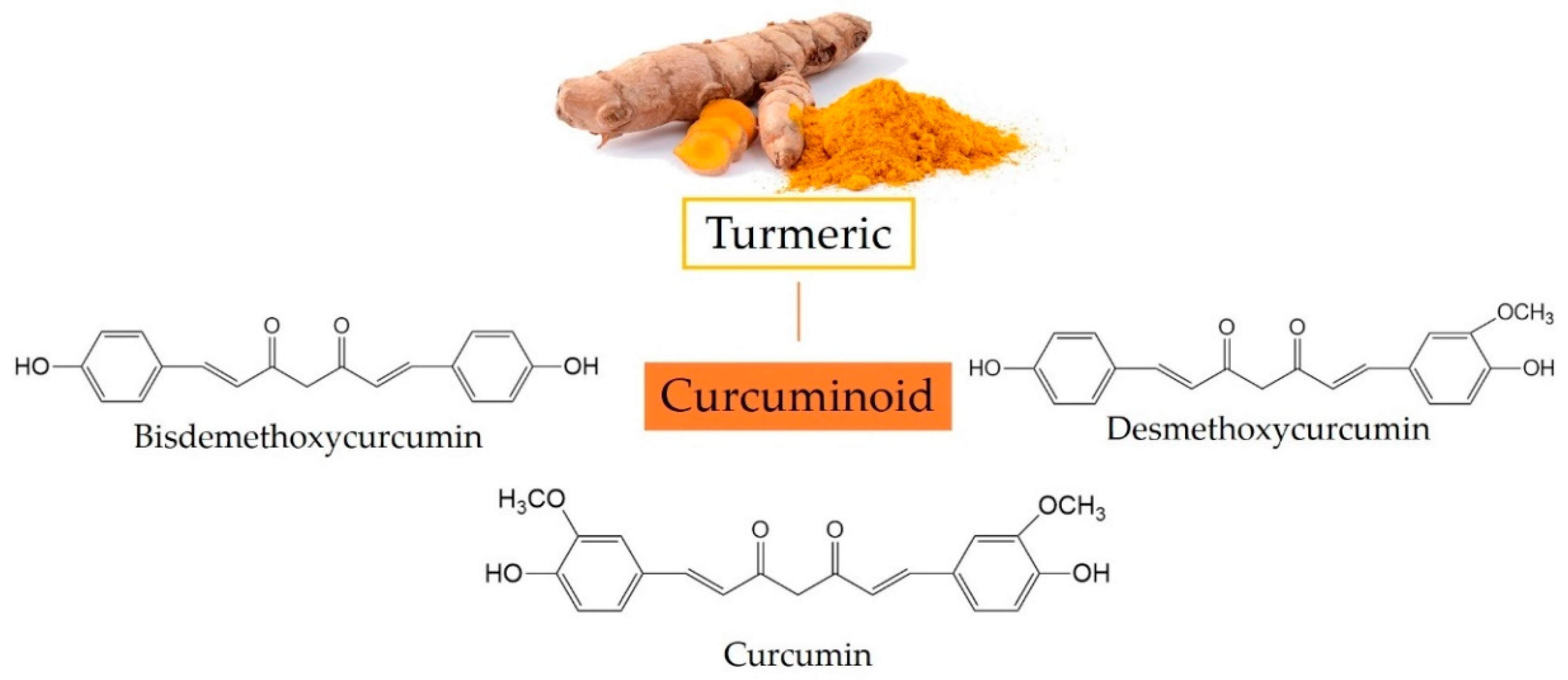 curcuma pubmed