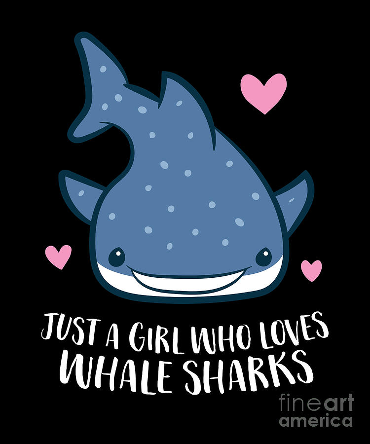 cute whale shark