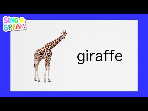 giraffe pronounce