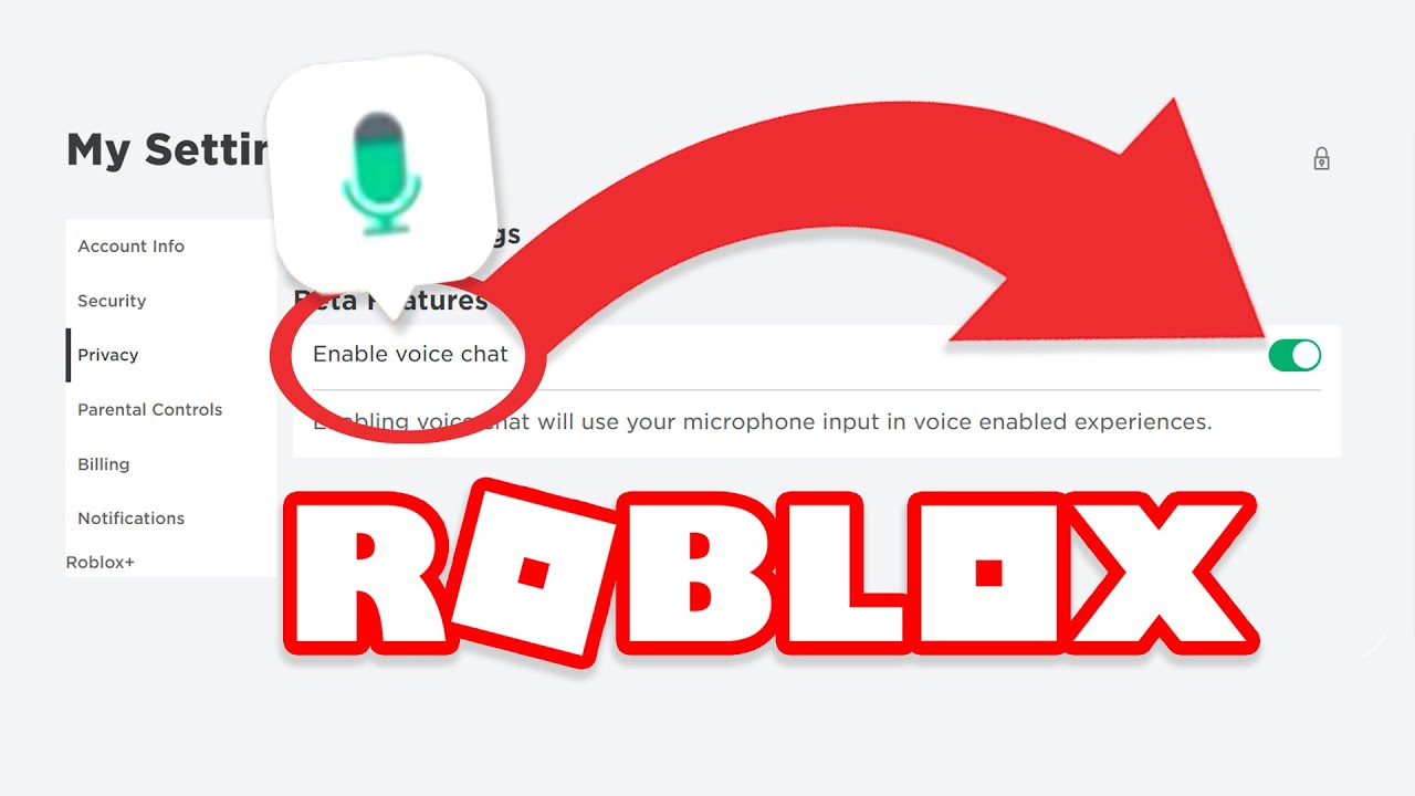 how to voice chat on roblox